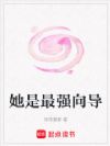 她是最强向导